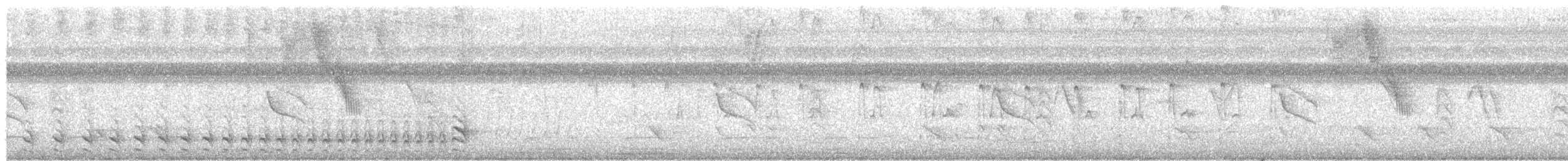 Barred Antshrike - ML645055291