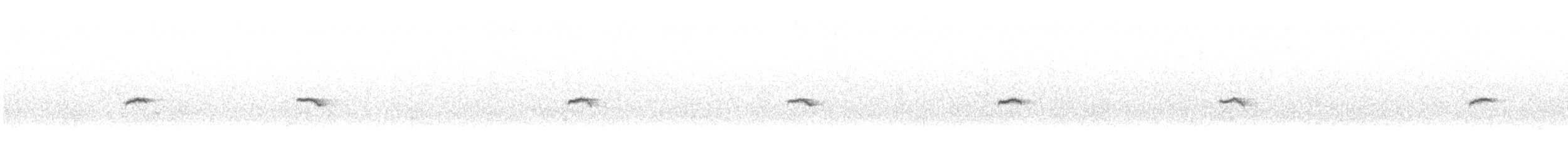 Luì piccolo (tristis) - ML645055699