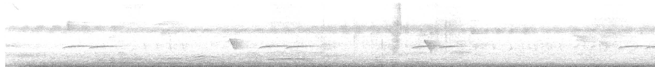 new world flycatcher sp. - ML645055849