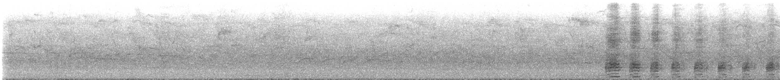 Mallard - ML645057119