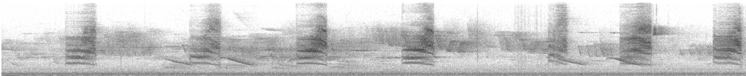 Eastern Warbling Vireo - ML645057136