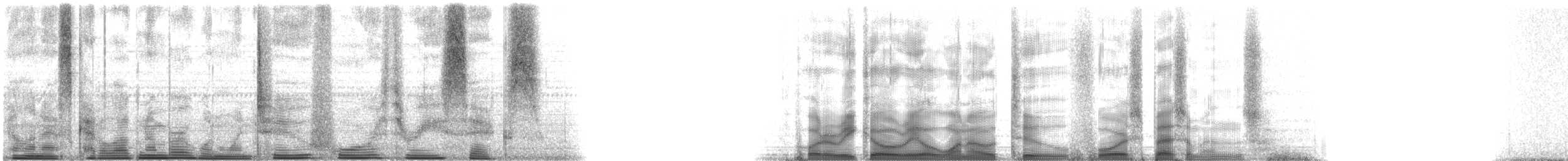 White Grunt - ML645059018