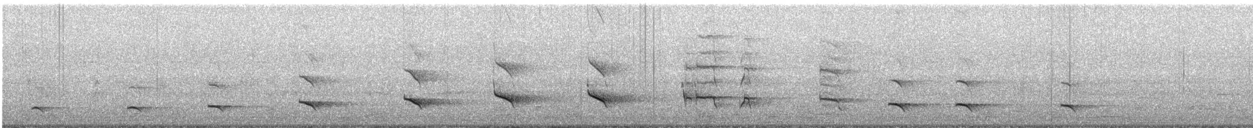 Скопа західна - ML645060294