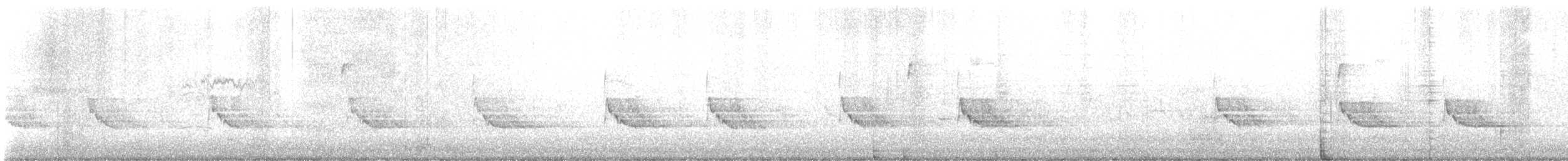 Carolinazaunkönig - ML645063504