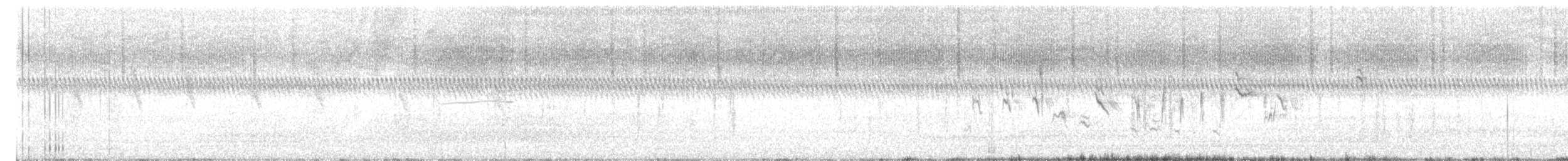 Singammer - ML645063803