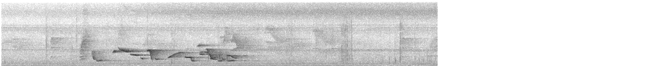 Bindenbauch-Zaunkönig - ML645064142