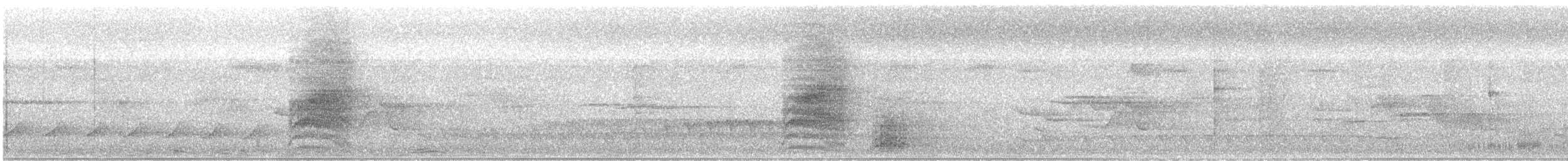 Braunrücken-Ameisenvogel - ML645064172