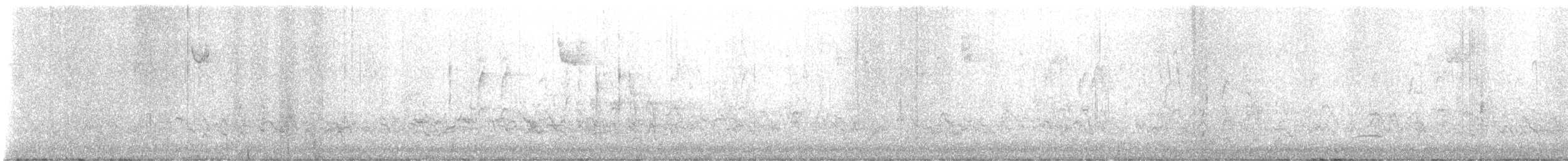 Weißkehlammer - ML645064261