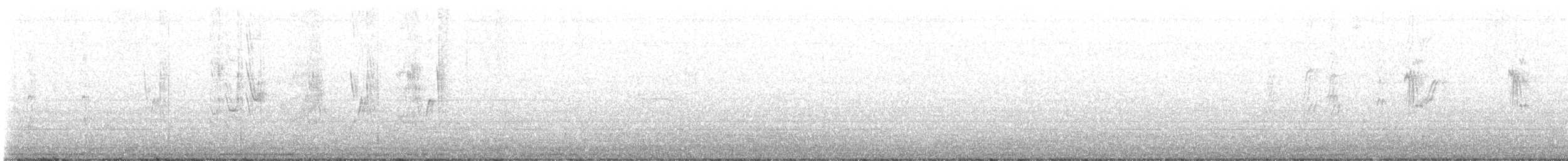 Golondrina Australiana - ML645067261