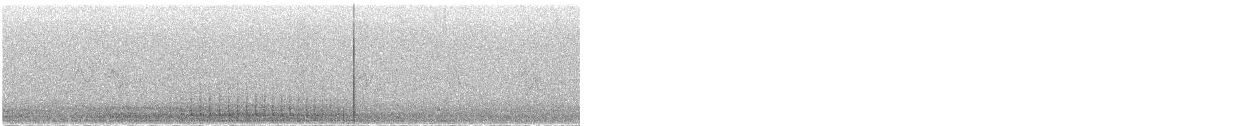 Pizidoa sp. - ML645067293