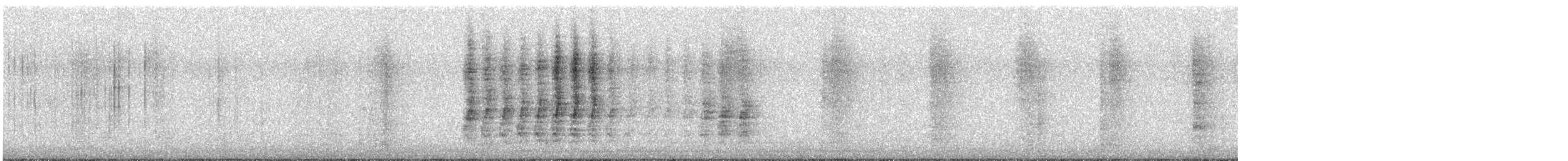 Steller's Jay - ML645067429