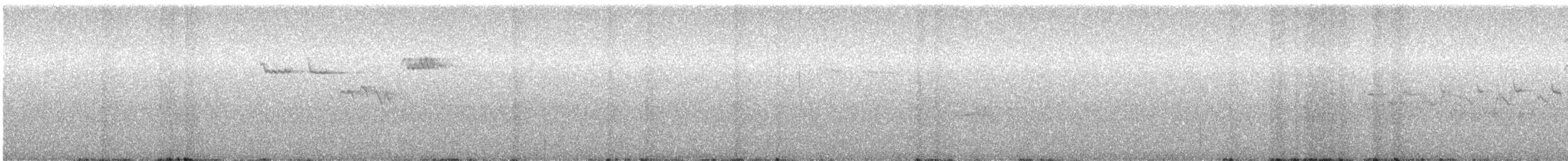 Amerikabaumläufer [occidentalis-Gruppe] - ML645070606