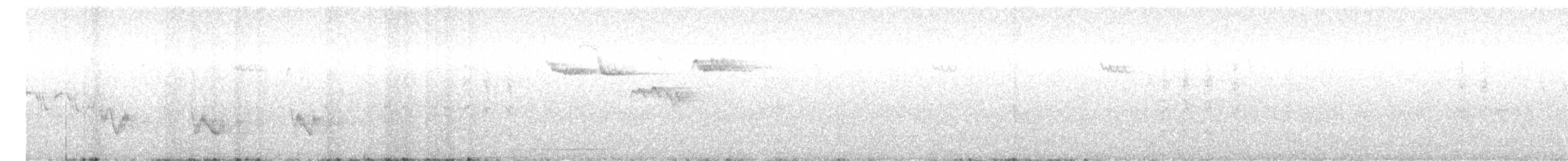 Amerikabaumläufer [occidentalis-Gruppe] - ML645070607