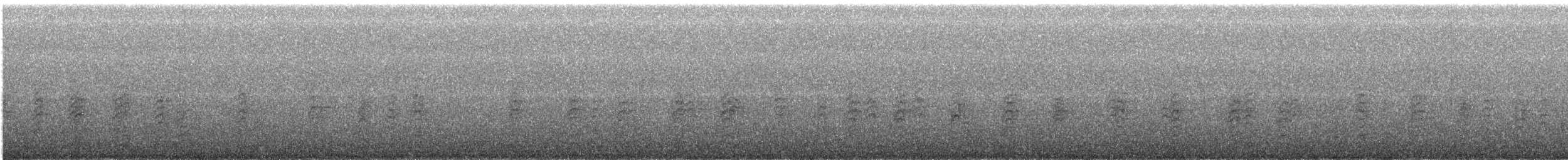 Red-breasted Nuthatch - ML645071676