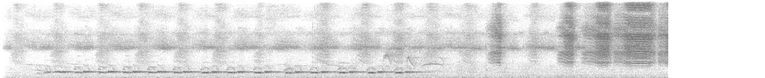 Spot-winged Wood-Quail - ML645072111