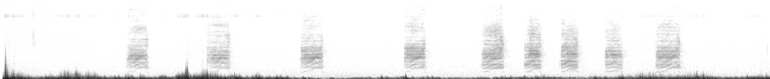 Woodhouse's Scrub-Jay - ML645072215