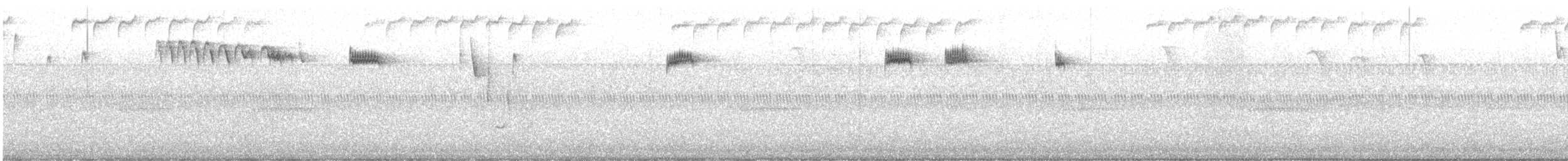 Reyezuelo Sátrapa - ML645074839