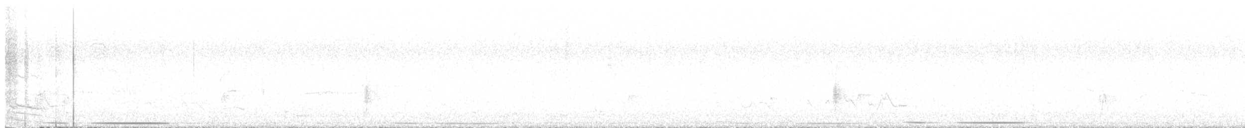 Picamaderos Dorsiblanco - ML645075961