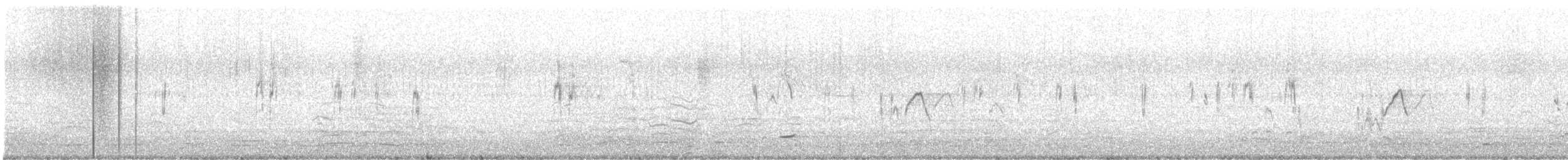 Lavandera Blanca (Enlutada) - ML645076070