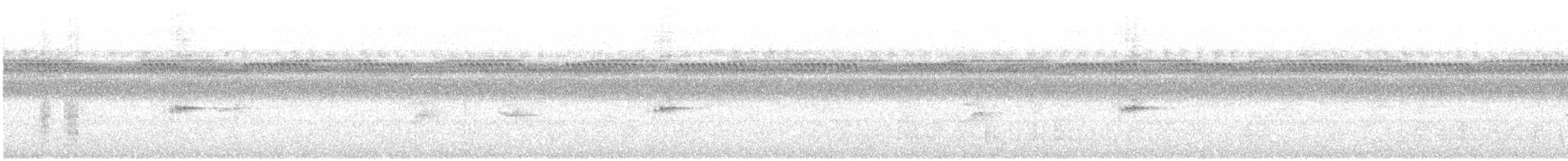 Ruiseñor Coliblanco - ML645076218