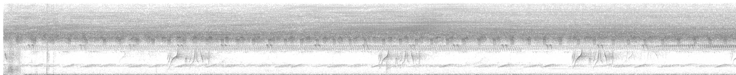 Bienteveo Rayado - ML645076232