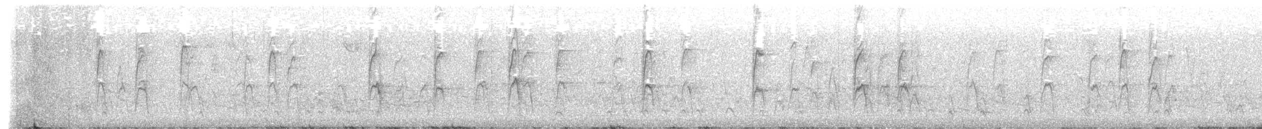 Zorzal Americano - ML645076278