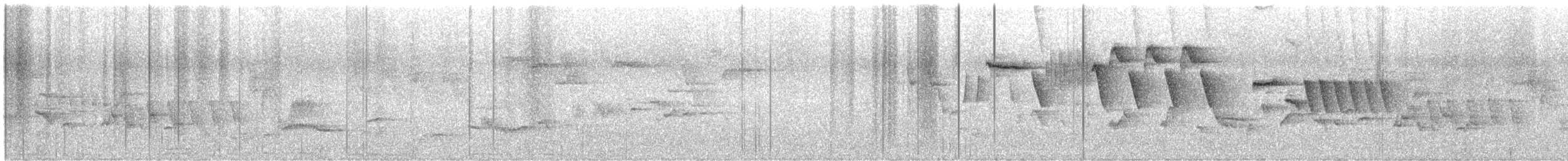 Curruca Capirotada - ML645076295