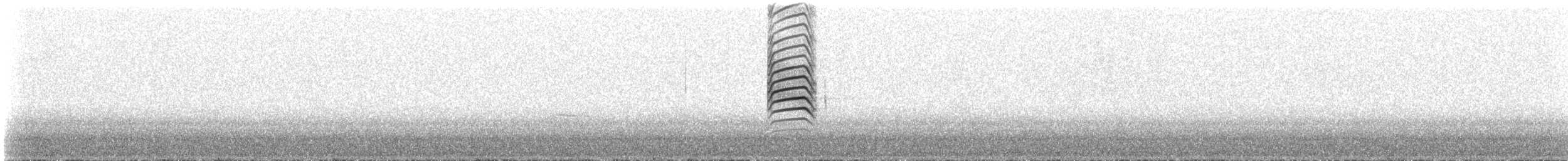 American Pika - ML645076471