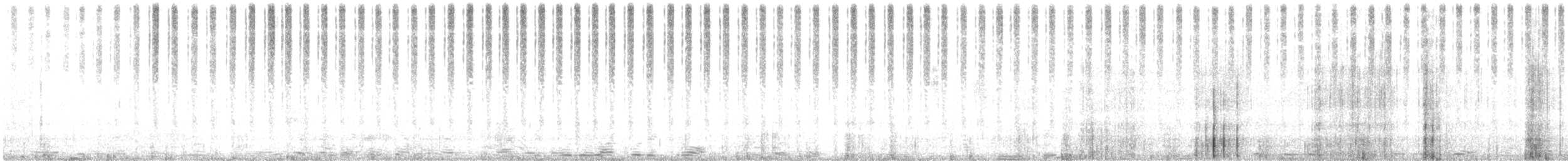 Mormon Cricket - ML645076476