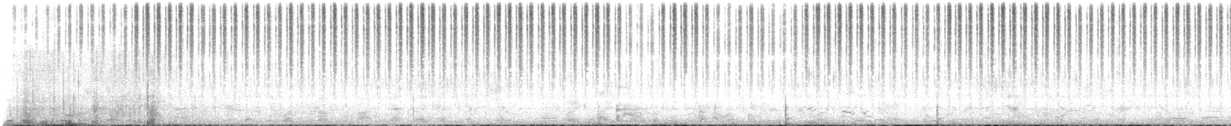 Mormon Cricket - ML645076479