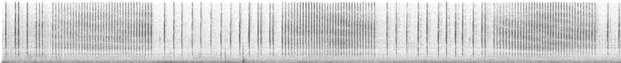 Crackling Forest Grasshopper - ML645076490