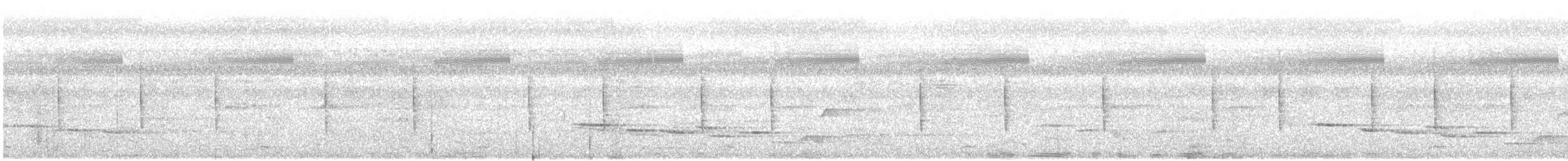 Mosquitero Sombrío - ML645076492