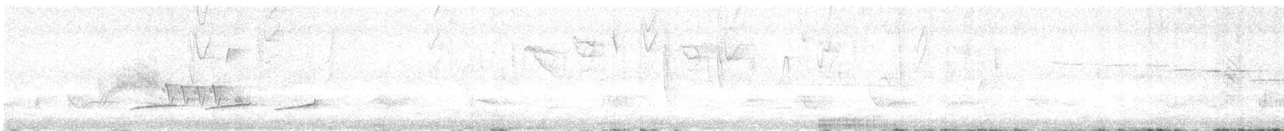 Mosquerito Oliváceo - ML645076691