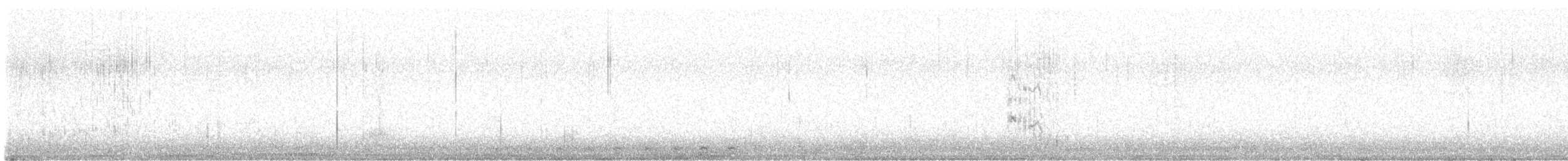 Éider Común - ML645076971