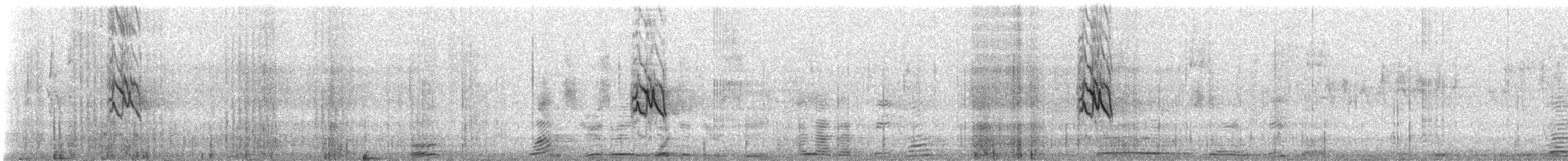 Jilguero de Los Pinos (Norteamericano) - ML645077032