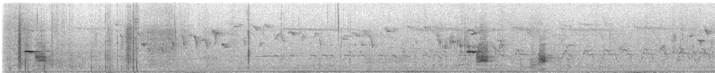 Gadwall (Common) - ML645077472