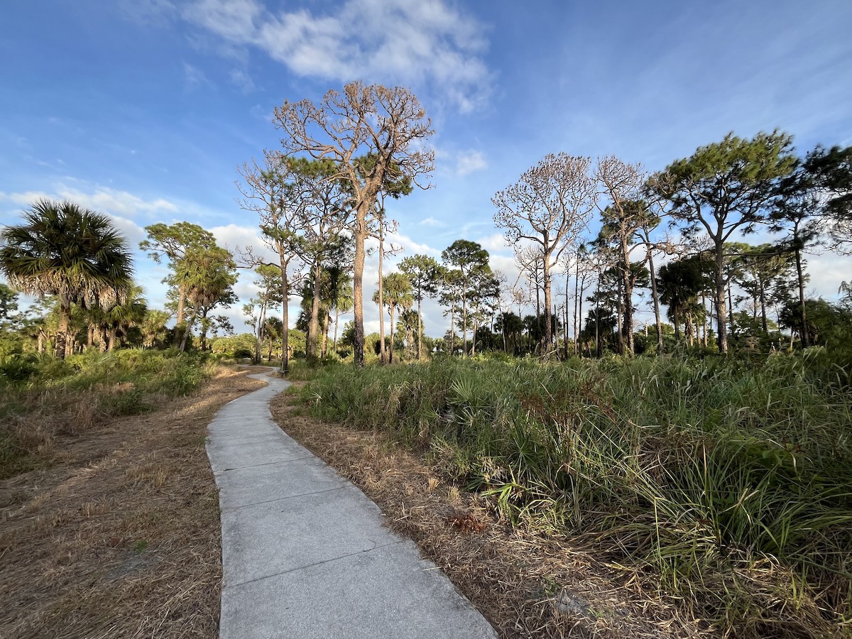Winding Waters Natural Area - Palm Beach, Florida, US - Birding Hotspots