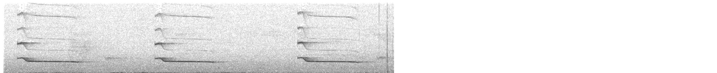 Rufous-tailed Attila - ML645079625