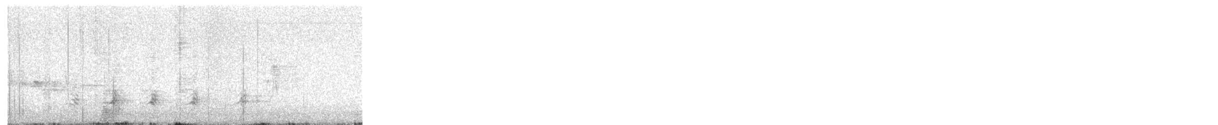 kalous ušatý (ssp. otus/canariensis) - ML645079879