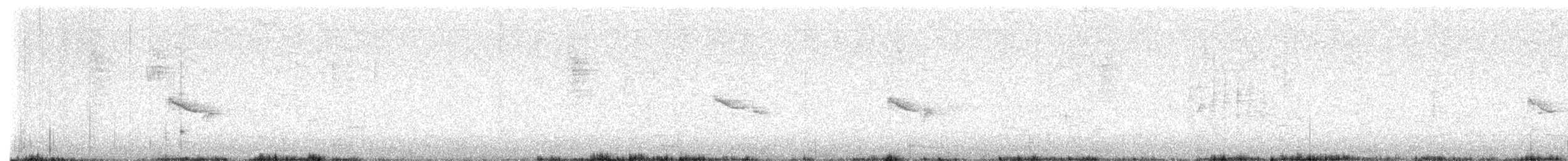 čížek lesní - ML645079894