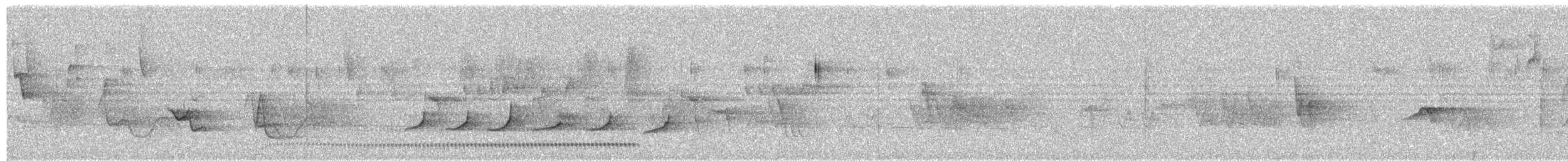 White-breasted Tapaculo - ML645080555