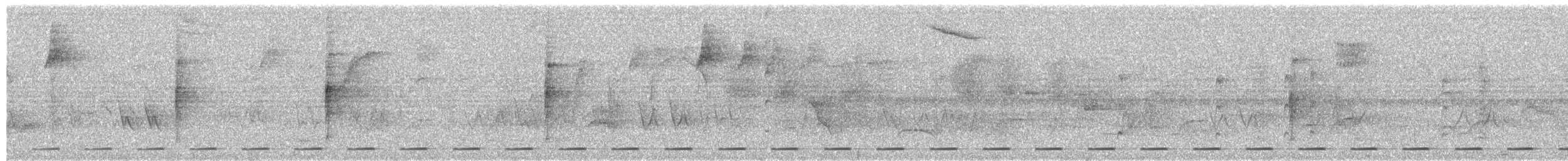 Spotted Bamboowren - ML645080577