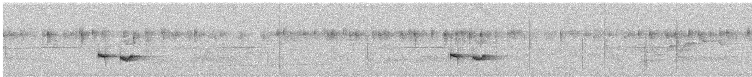 Ferruginous Antbird - ML645080638