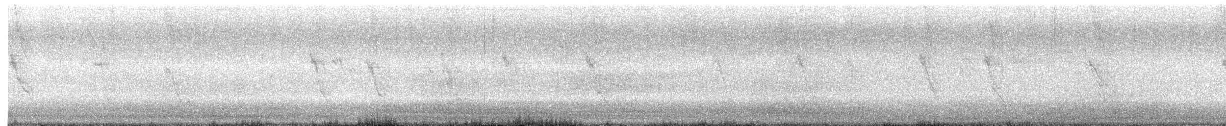 House Sparrow - ML645080643