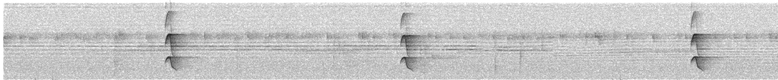 Russet-winged Spadebill - ML645080651