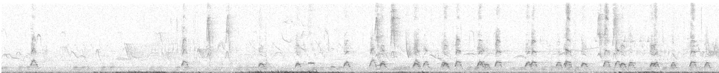 svarthalssvane - ML645081834