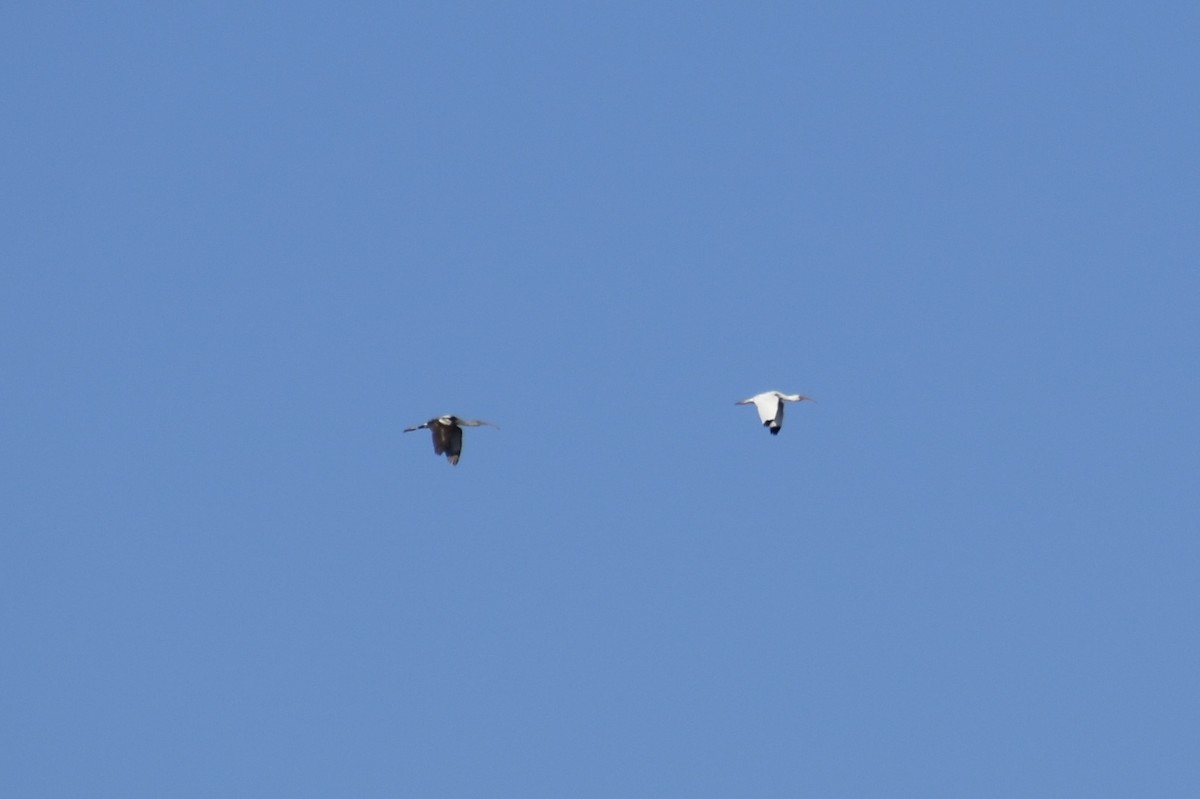 Ak Aynak - ML645082864