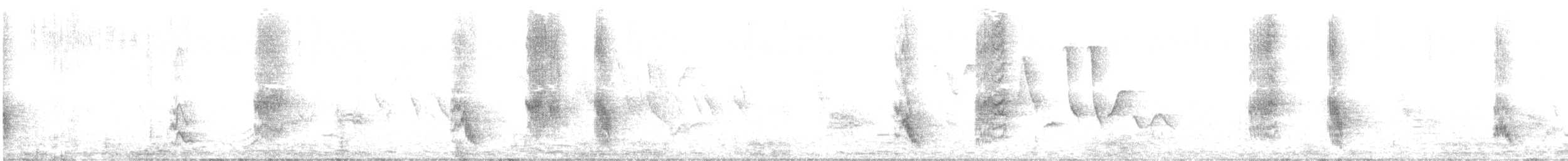 sancristobalspottefugl - ML645083286