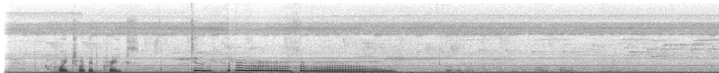 småkiskadi - ML645083403