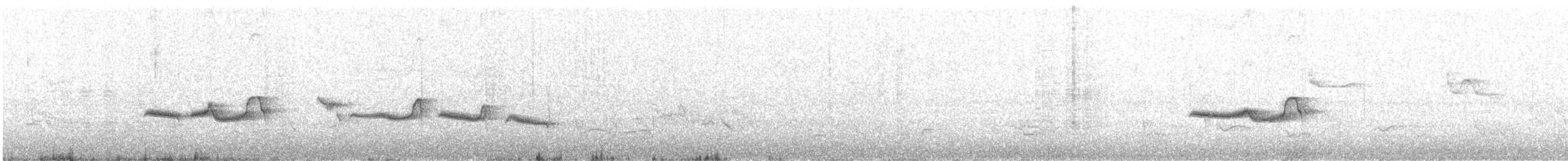 Stripe-backed Antbird - ML645083542